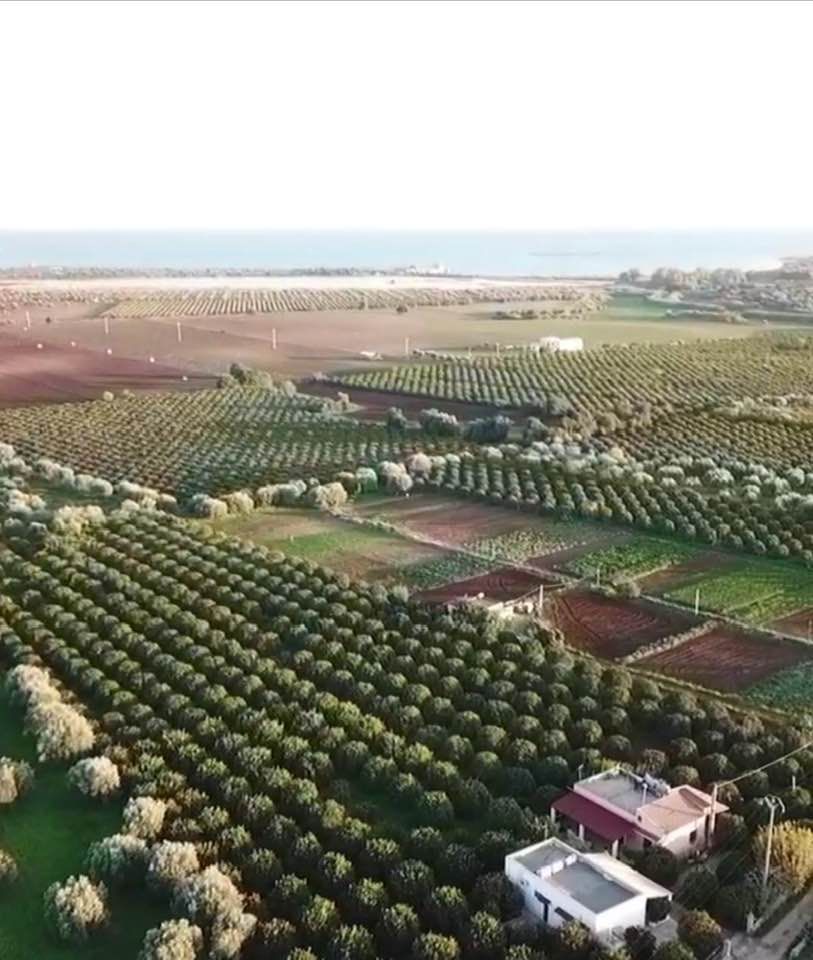 L' Oasi di Vendicari | Marzamemi - Частные дома и виллы - Coste della Sicilia