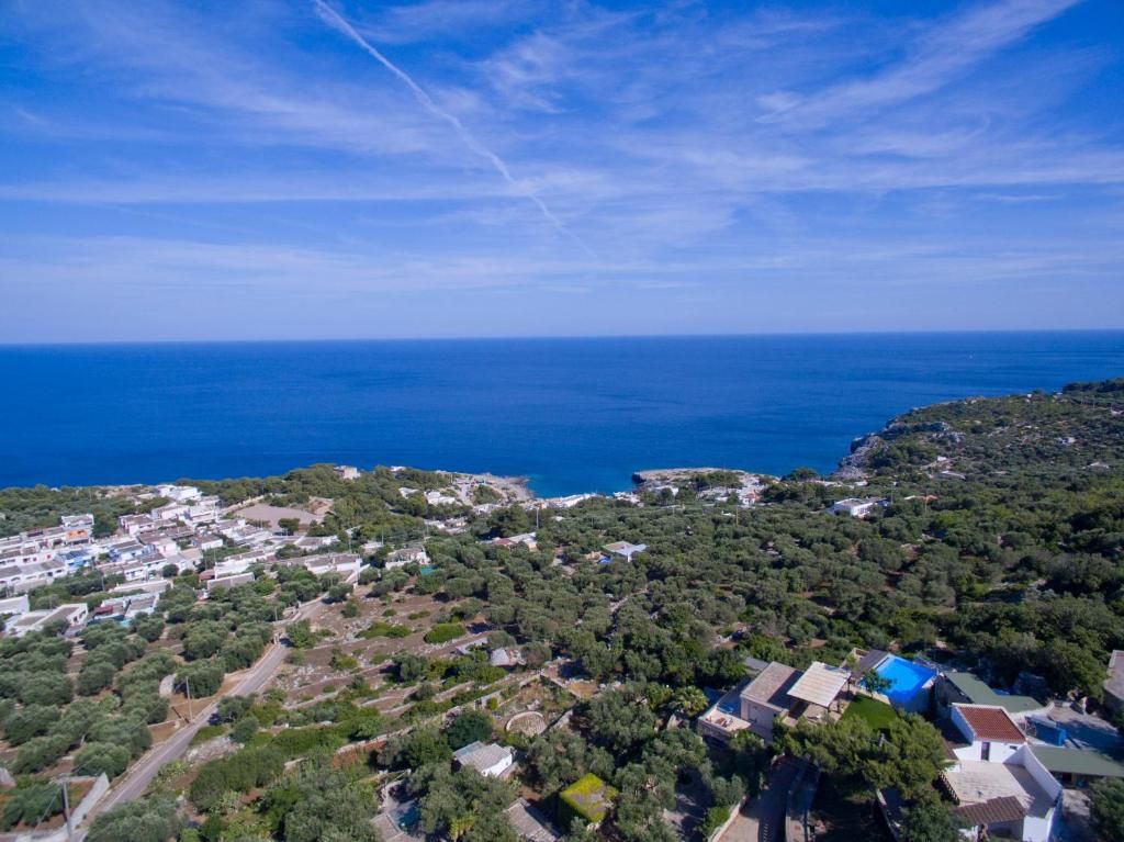 La Villa del Capo | Salento - Частные дома и виллы - Salento