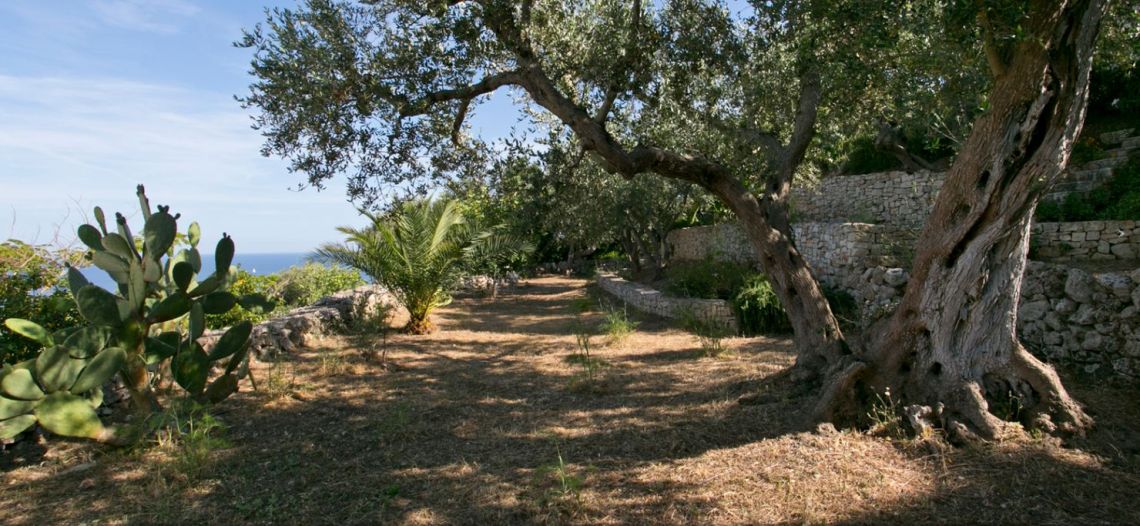 La Villa del Capo | Salento - Частные дома и виллы - Salento