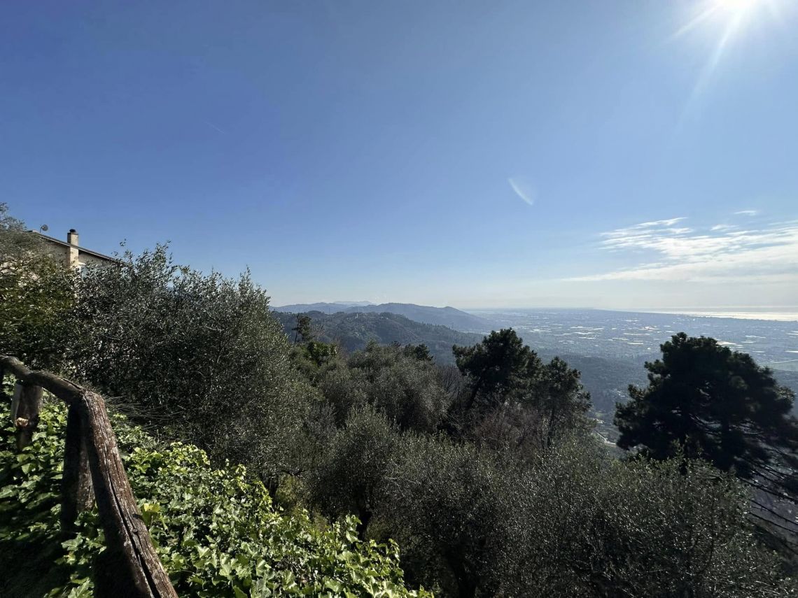 Tenuta il Paradiso puo' Attendere | Marina di Pietrasanta - Houses and Villas - Versilia