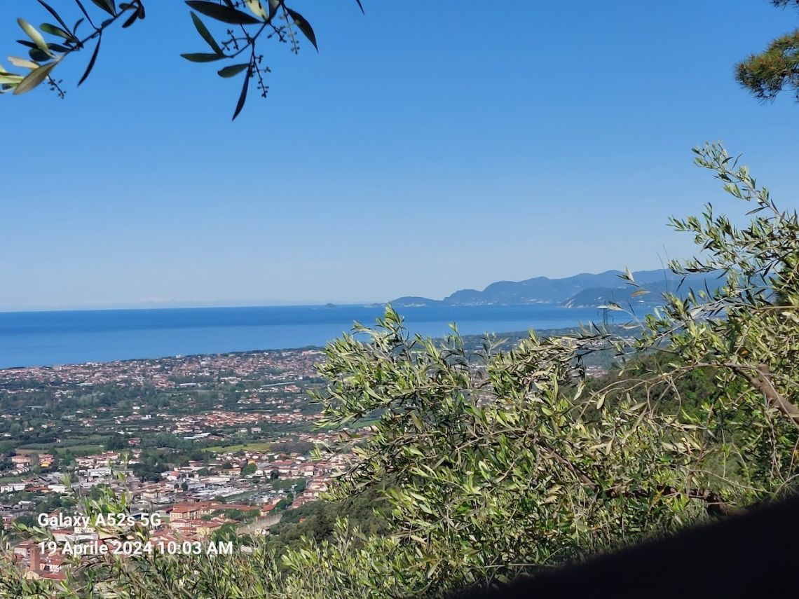 Tenuta il Paradiso puo' Attendere | Marina di Pietrasanta - Houses and Villas - Versilia