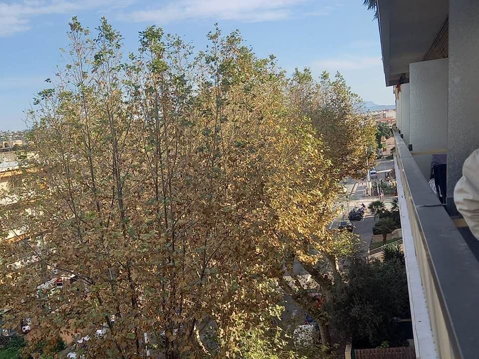 Appartamento Cagnes sur Mer |  Cagnes-sur-Mer - Appartamenti - Costa Azzurra