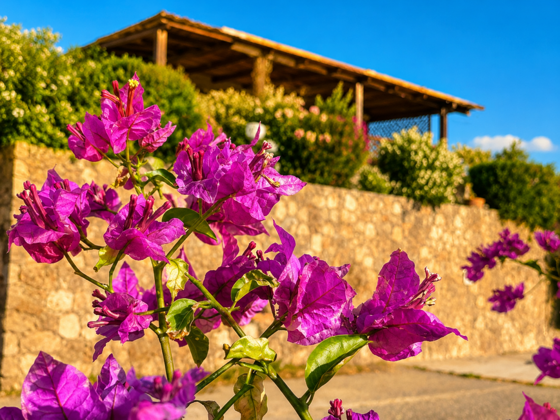 Villino Portu Mannu  | Palau - Частные дома и виллы - Costa Smeralda