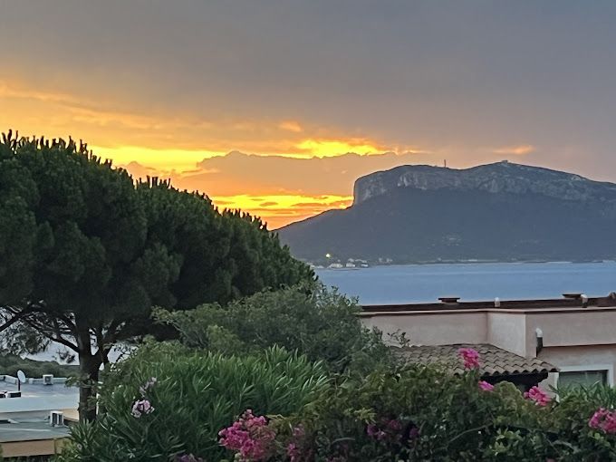 Villetta Sole di Levante | Golfo Aranci  - Частные дома и виллы - Costa Smeralda
