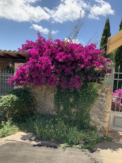 Residenza Vetulonia | Punta Ala / Castiglione della Pescaia - Case e ville - Maremma Mare