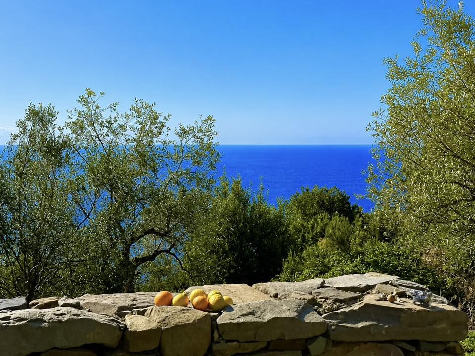 Antico Rustico del Paradiso | Porto Venere / Le Grazie / Fezzano / Ca' di Mare  - Частные дома и виллы - Залив поэтов