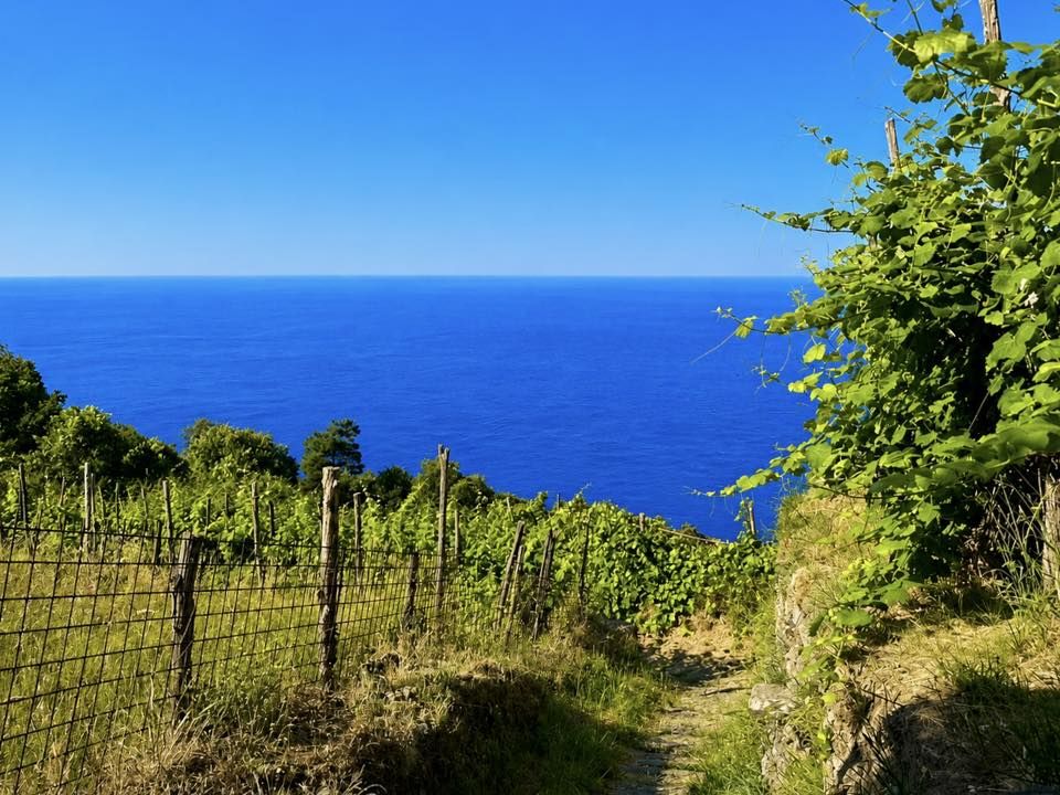 Antico Rustico del Paradiso | Porto Venere / Le Grazie / Fezzano / Ca' di Mare  - Частные дома и виллы - Залив поэтов