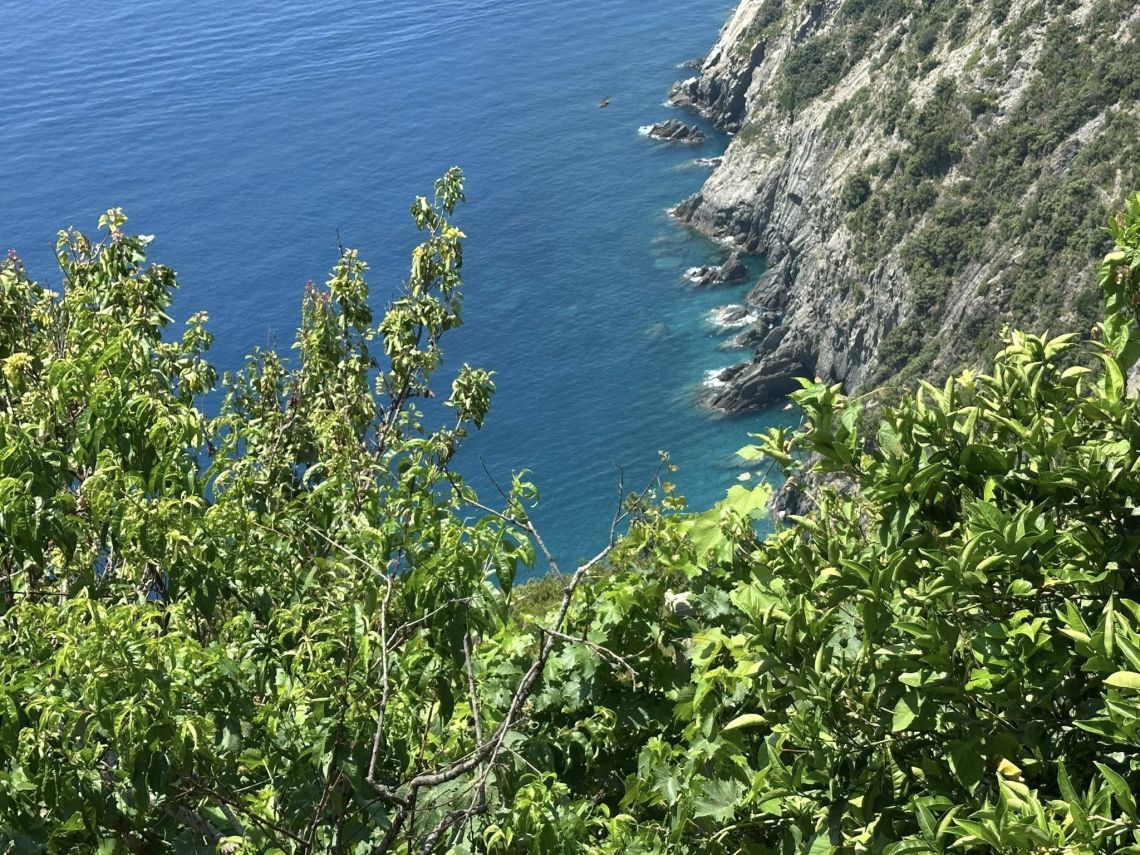 Antico Rustico il Giardino sul Mare | Riomaggiore & Manarola - Casali & Rustici - 5 Terre
