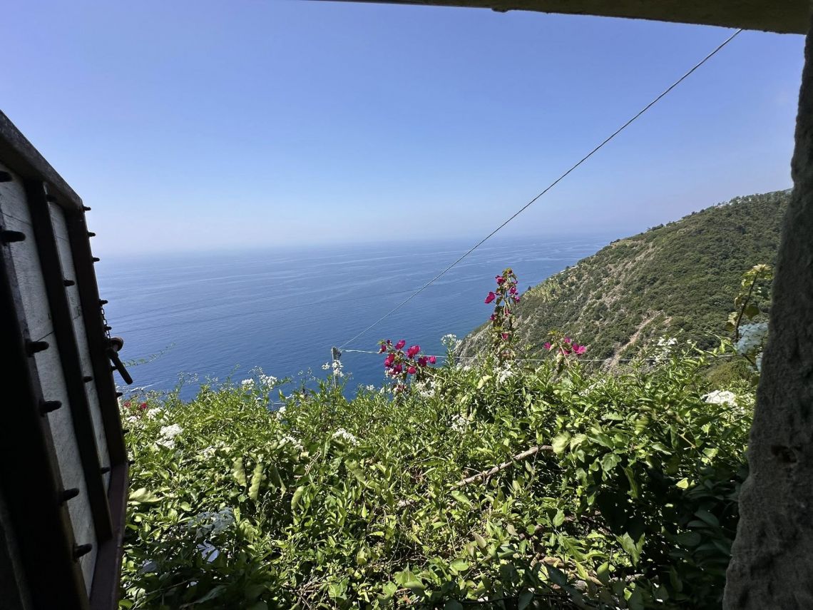 Antico Rustico il Giardino sul Mare | Riomaggiore & Manarola - Casali & Rustici - 5 Terre