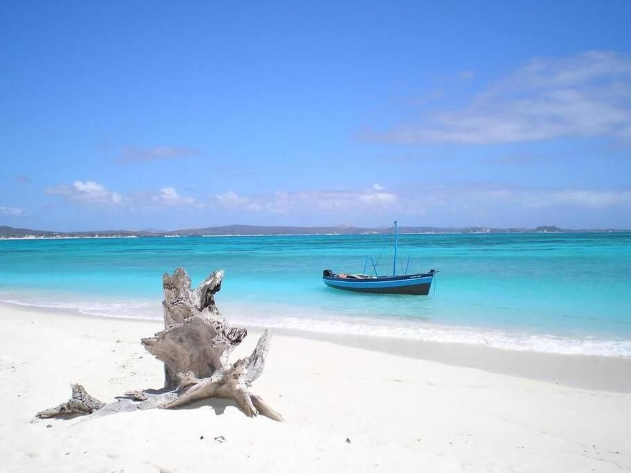 Villino Delfino | Watamu - Case e ville - Kenya & Zanzibar