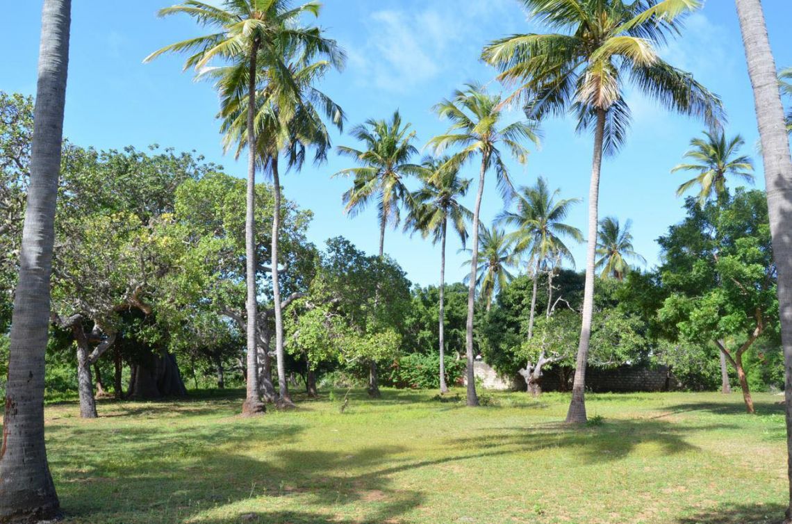 Tenuta Diani Congo Beach | Diani  - Case e ville - Kenya & Zanzibar