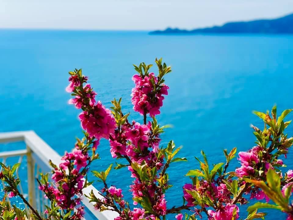 La Casa a Picco sul Mare | Chiavari/Zoagli - Appartementen - Tigullio