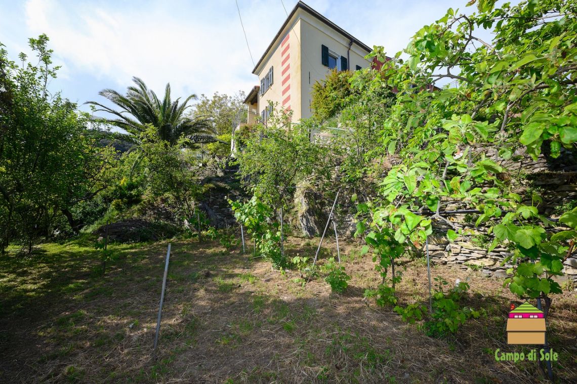 Una Terrazza sul Mare delle 5 Terre | Vernazza & Corniglia - Houses and Villas - 5 Terre