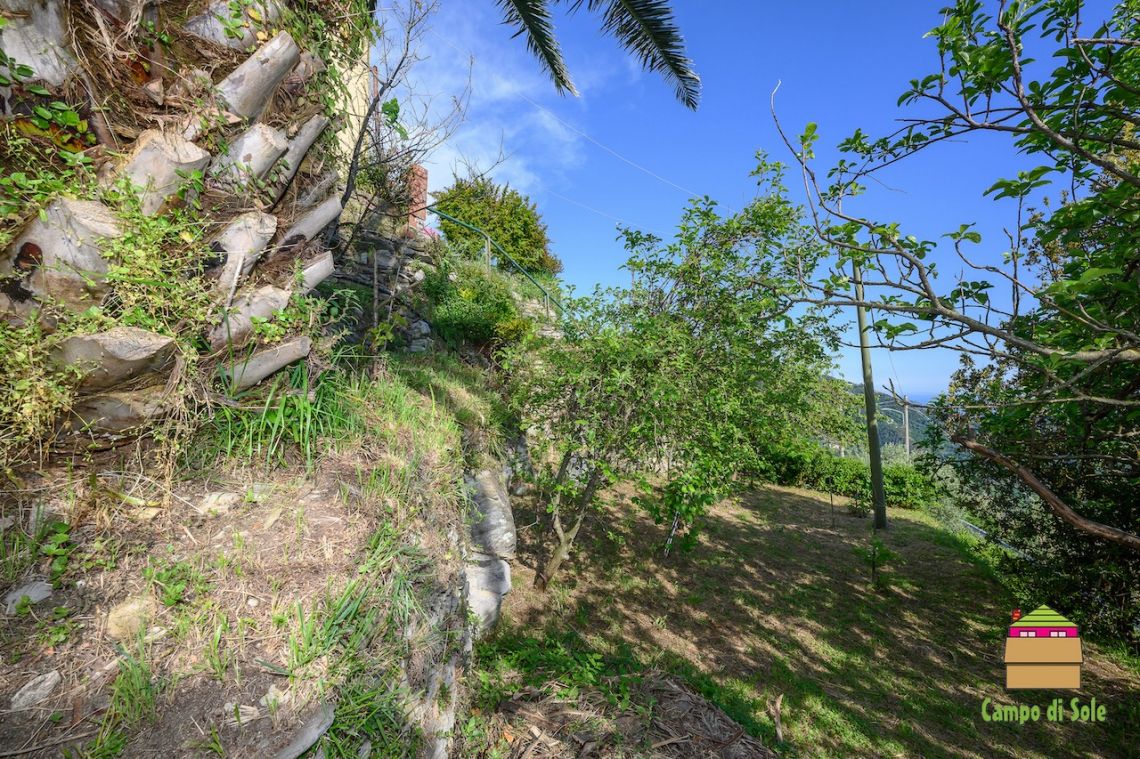 Una Terrazza sul Mare delle 5 Terre | Vernazza & Corniglia - Houses and Villas - 5 Terre
