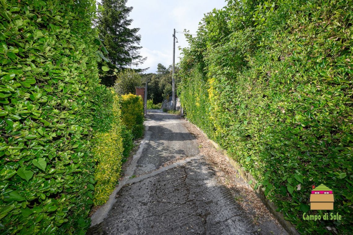 Una Terrazza sul Mare delle 5 Terre | Vernazza & Corniglia - Houses and Villas - 5 Terre
