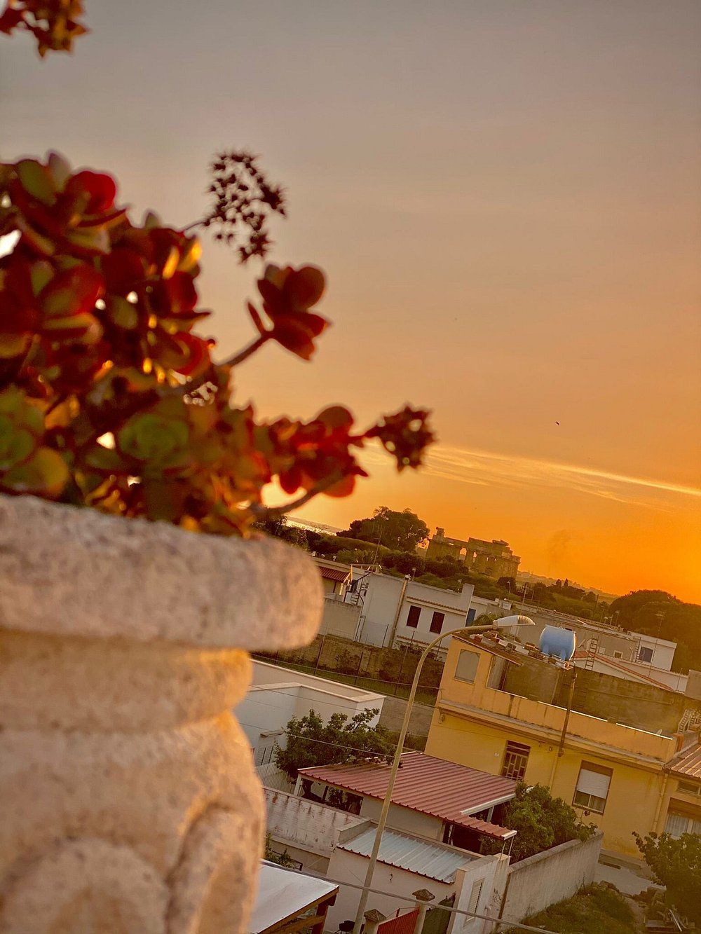 Sogno Selinunte | Selinunte - Case e ville - Coste della Sicilia