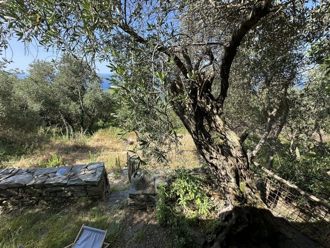 Il Rustico che Sorride al Mare  | Porto Venere / Le Grazie / Fezzano / Ca' di Mare  - Casali & Rustici - Golfo dei Poeti