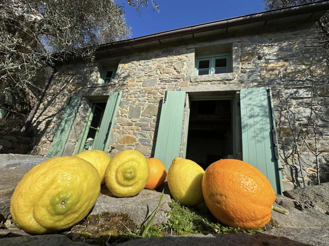 Il Rustico che Sorride al Mare  | Porto Venere / Le Grazie / Fezzano / Ca' di Mare  - Casali & Rustici - Golfo dei Poeti
