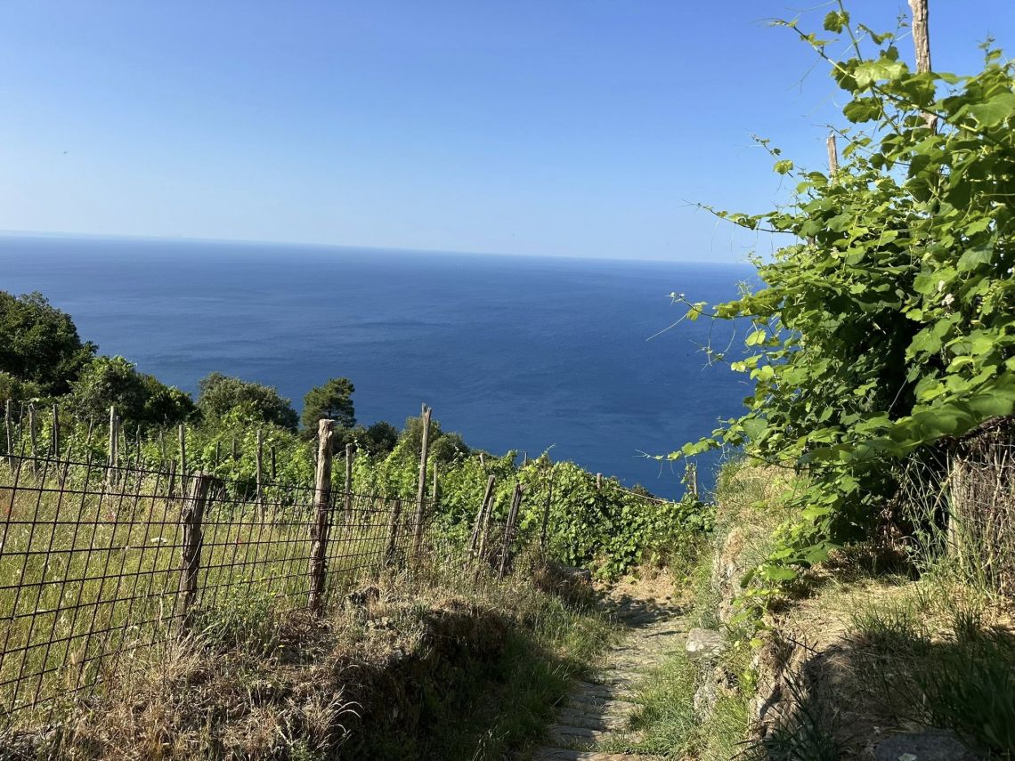 Il Rustico che Sorride al Mare  | Porto Venere / Le Grazie / Fezzano / Ca' di Mare  - Casali & Rustici - Golfo dei Poeti