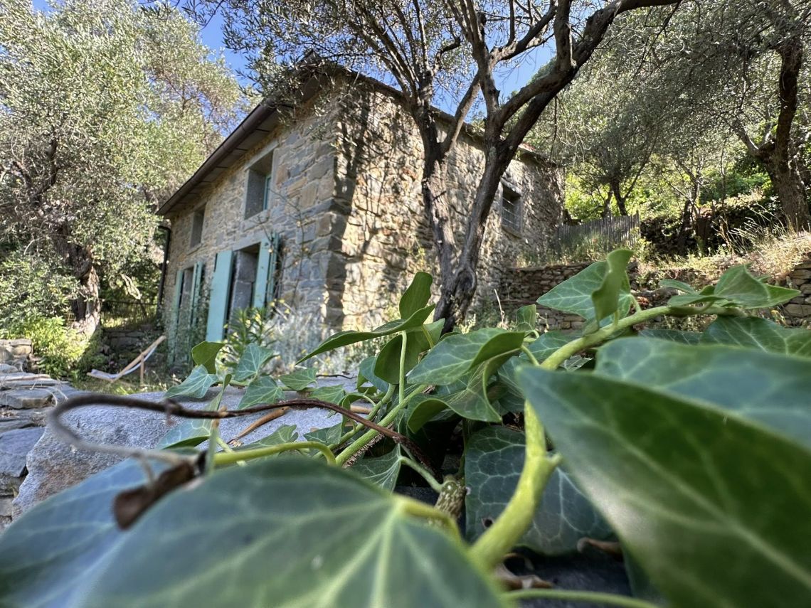 Il Rustico che Sorride al Mare  | Porto Venere / Le Grazie / Fezzano / Ca' di Mare  - Casali & Rustici - Golfo dei Poeti