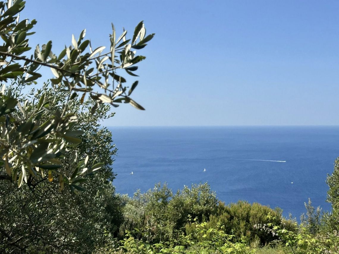 Il Rustico che Sorride al Mare  | Porto Venere / Le Grazie / Fezzano / Ca' di Mare  - Casali & Rustici - Golfo dei Poeti