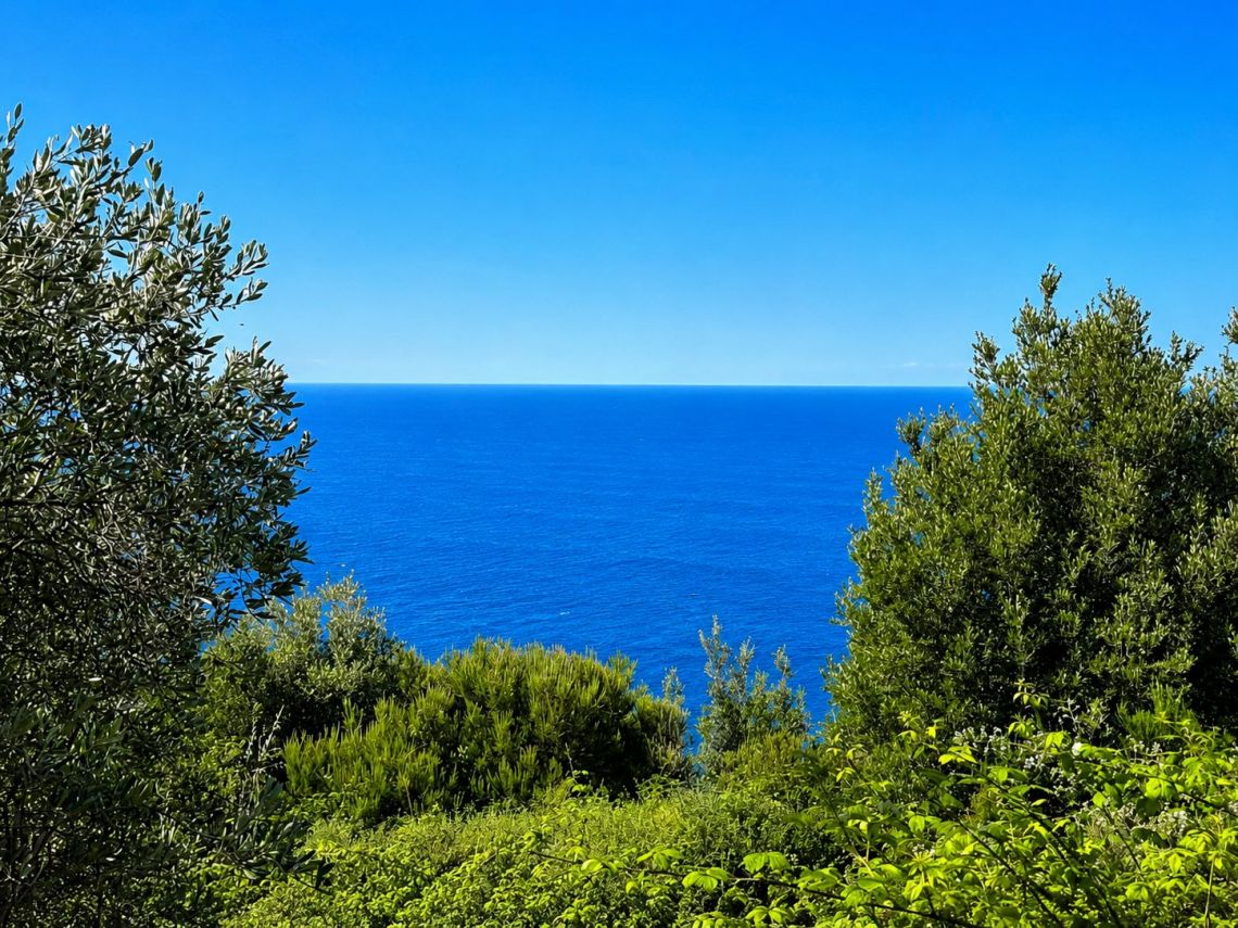 Antico Rustico Paradiso  | Riomaggiore & Manarola - Casali & Rustici - 5 Terre