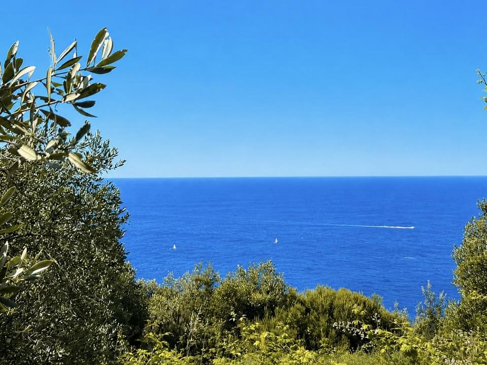 Antico Rustico Paradiso  | Riomaggiore & Manarola - Casali & Rustici - 5 Terre