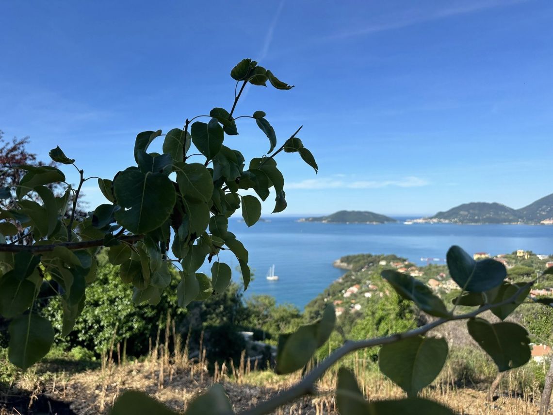 L' Antico Podere del Golfo dei Poeti | Lerici/San Terenzo/Tellaro - Case e ville - Golfo dei Poeti