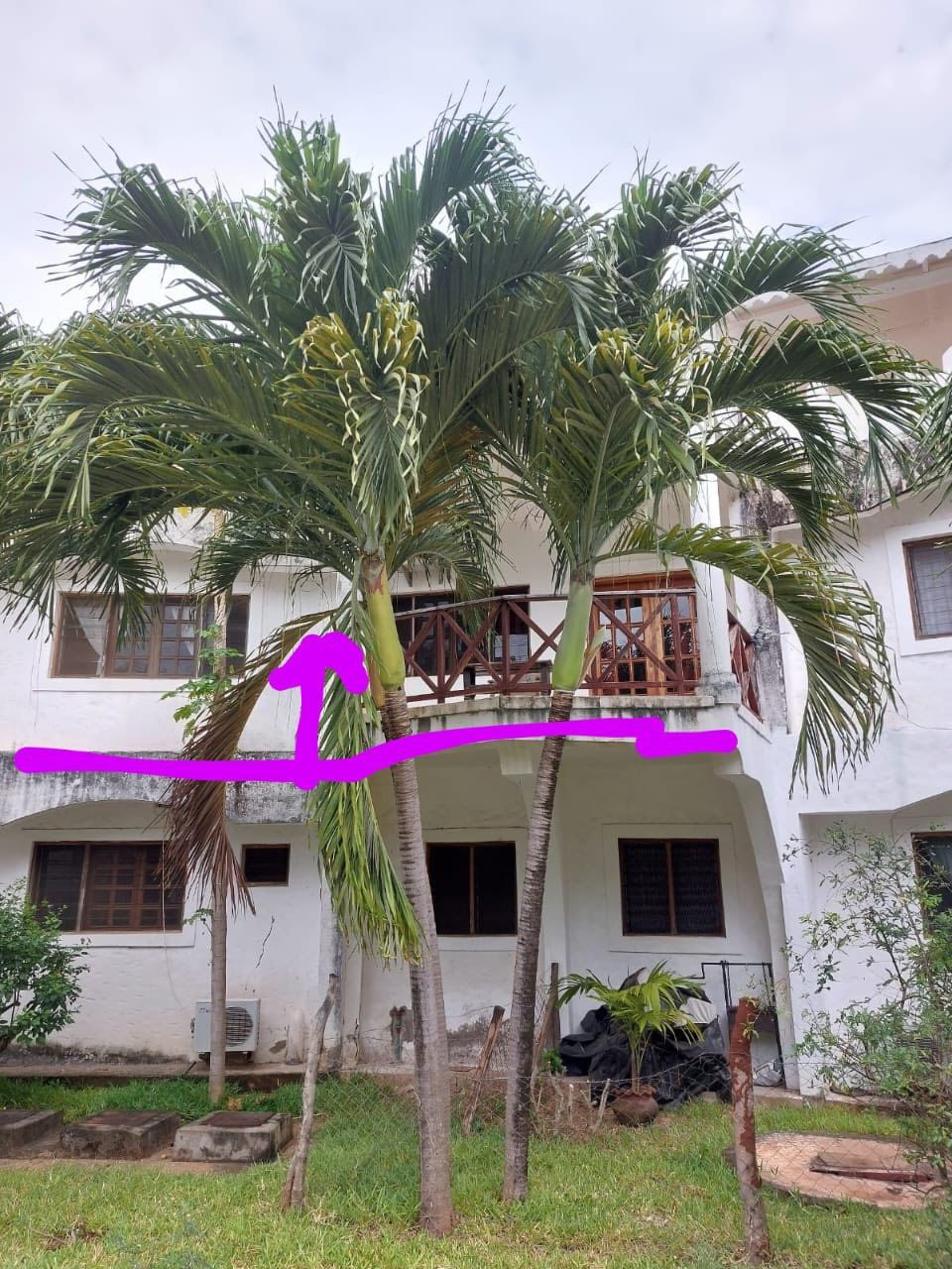 Appartamento Green Malindi | Malindi - Appartamenti - Kenya & Zanzibar