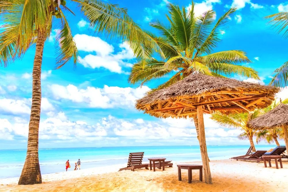 Appartamento Green Malindi | Malindi - Appartamenti - Kenya & Zanzibar