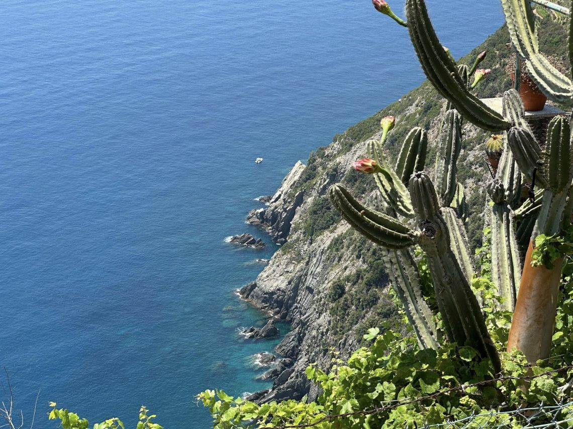 I Rustici degli Angeli | Riomaggiore @ Manarola - Farm Houses & Bed & Breakfast - 5 Terre