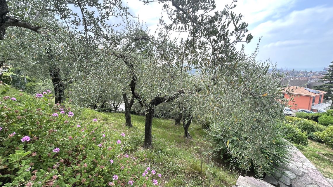 Montepertico con vista Mare e giardino | Golfo di La Spezia - Houses and Villas - Poets' Gulf