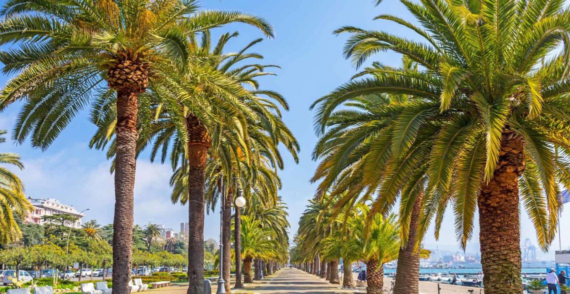 Montepertico con vista Mare e giardino | Golfo di La Spezia - Houses and Villas - Poets' Gulf