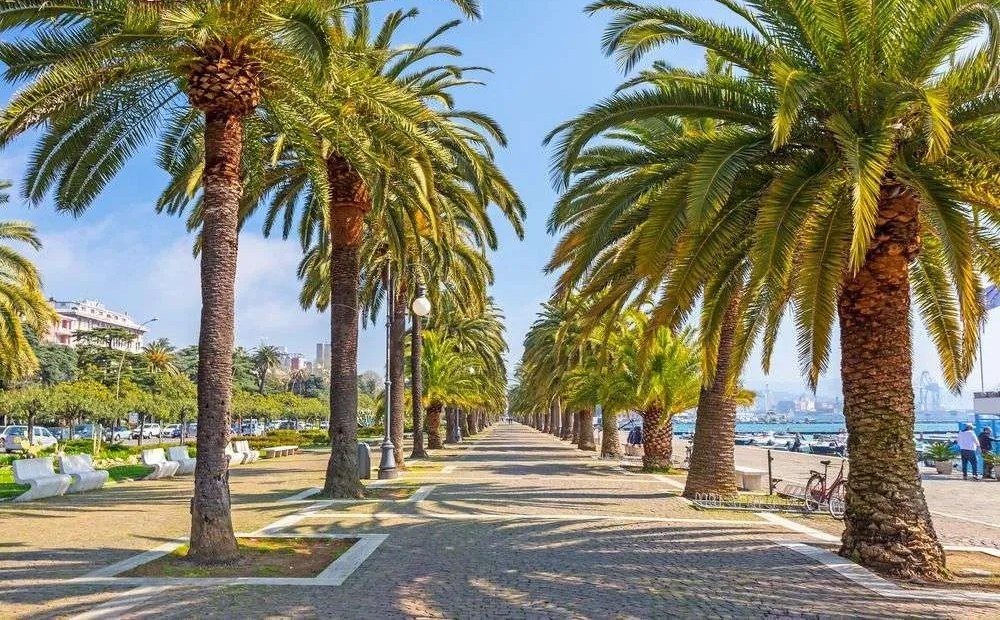 Montepertico con vista Mare e giardino | Golfo di La Spezia - Houses and Villas - Poets' Gulf