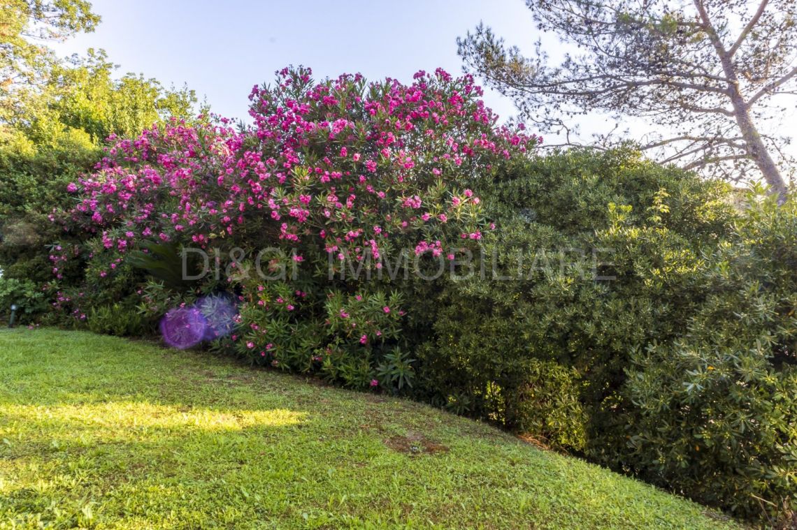 Villa Garlenga | Alassio  - Case e ville - Riviera di Ponente