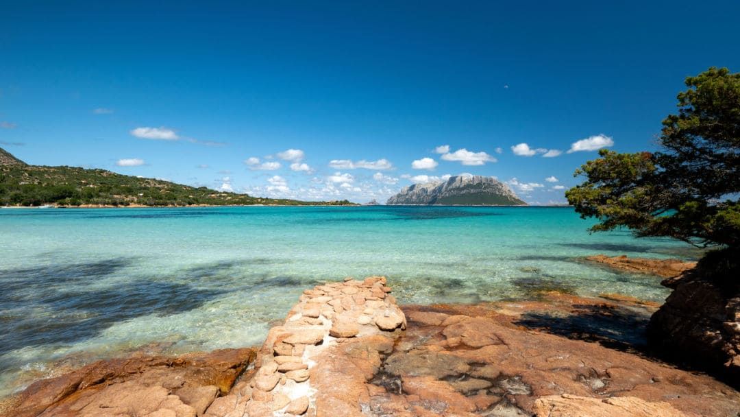Super Attico Belvedere | Golfo Aranci - Apartments - Costa Smeralda
