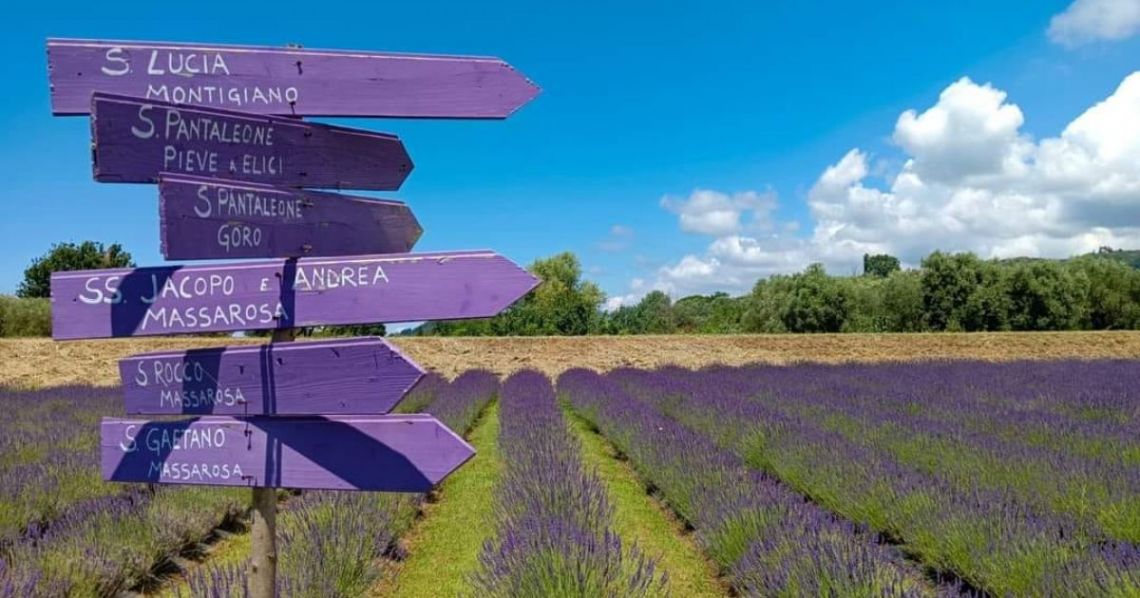 Il Casale della Musica e del Buon Vino | Camaiore - Case e ville - Versilia