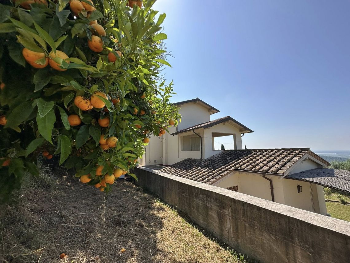 Il Casale della Musica e del Buon Vino | Camaiore - Case e ville - Versilia