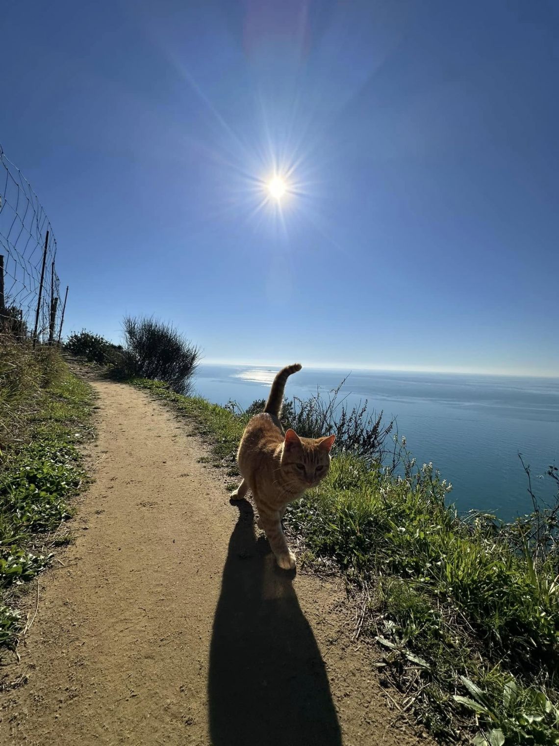 IL Rifugio del Pescatore | Riomaggiore & Manarola - Casali & Rustici - 5 Terre