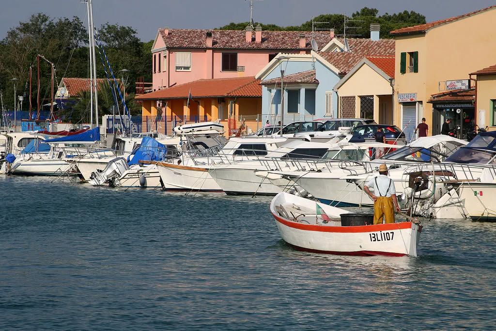 Appartamento Passeggiata a Mare | Marina di Grosseto - Appartamenti - Maremma Mare