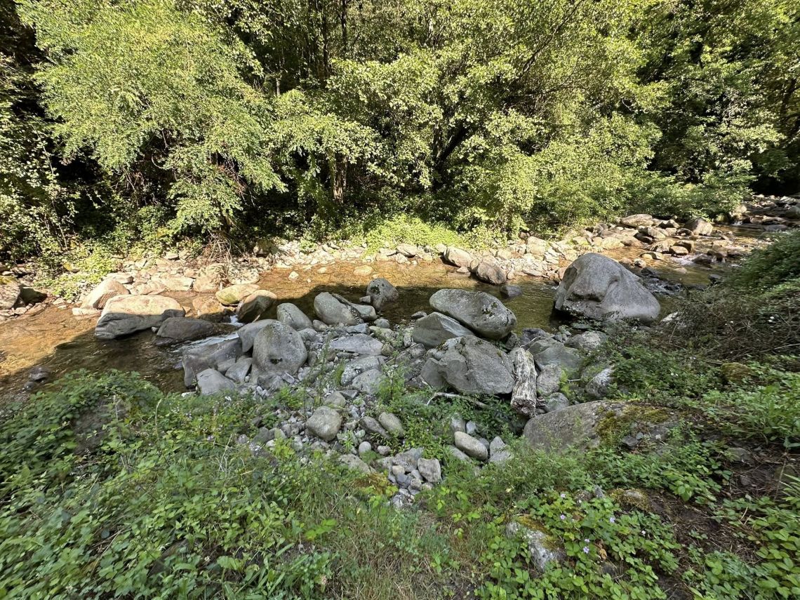 Antica Tenuta il Mulino del Faggio | Lunigiana Mare - Huizen en villa's - Lunigiana mare, Sarzana & Colline del Sole