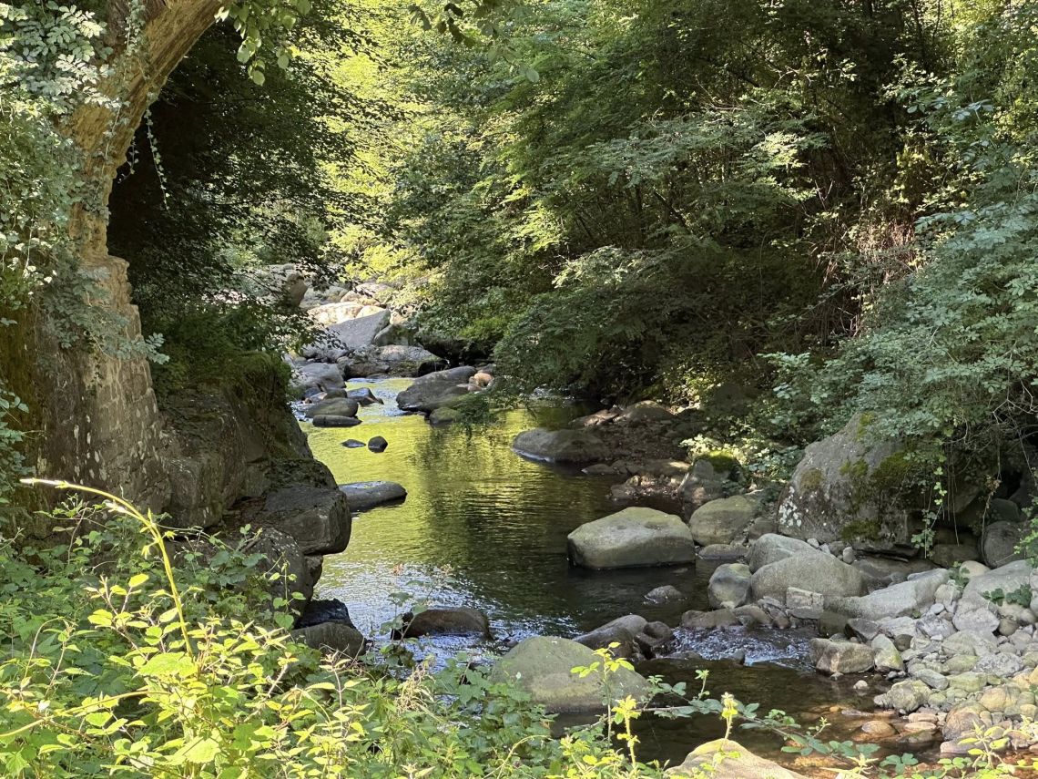 Antica Tenuta il Mulino del Faggio | Lunigiana Mare - Huizen en villa's - Lunigiana mare, Sarzana & Colline del Sole