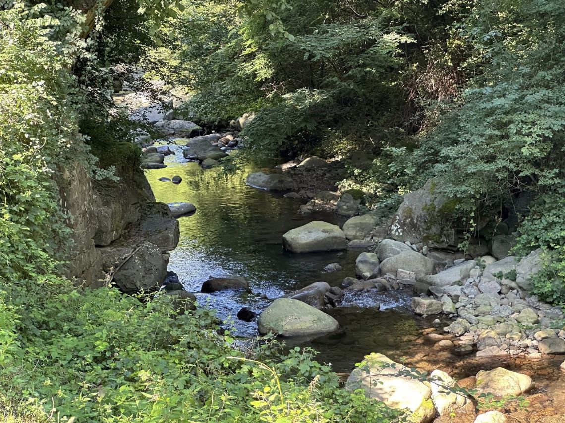 Antica Tenuta il Mulino del Faggio | Lunigiana Mare - Huizen en villa's - Lunigiana mare, Sarzana & Colline del Sole