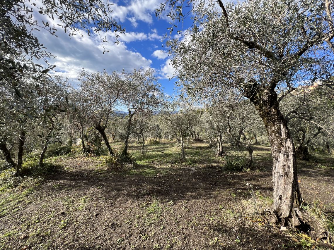 Antico Casale Vista Mare | Lunigiana Mare - Casali & Rustici - Lunigiana mare, Sarzana & Colline del Sole