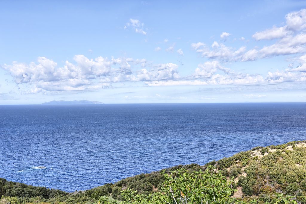 Appartameno dei Delfini | Isola d' Elba - Апартаменты - Isola d'Elba