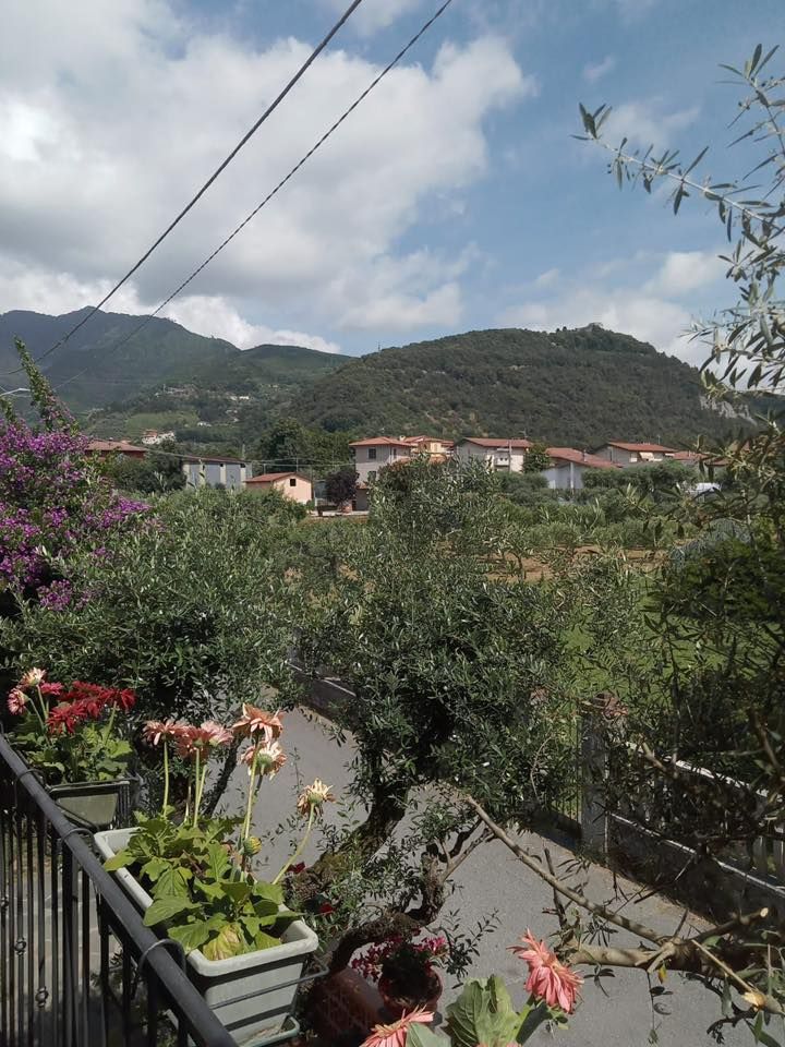 Casa Federica | Marina di Massa / Ronchi / Marina di Carrara - Case e ville - Riviera Apuana