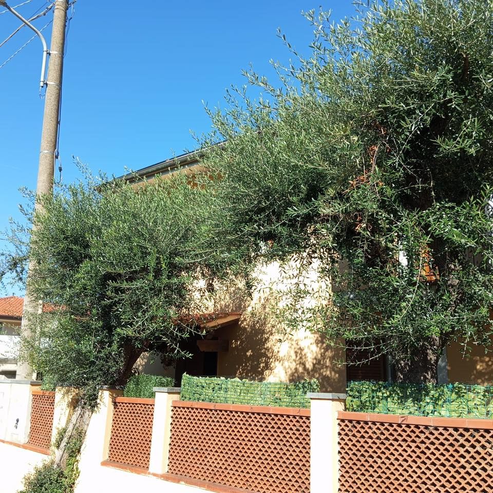 Casa Federica | Marina di Massa / Ronchi / Marina di Carrara - Case e ville - Riviera Apuana