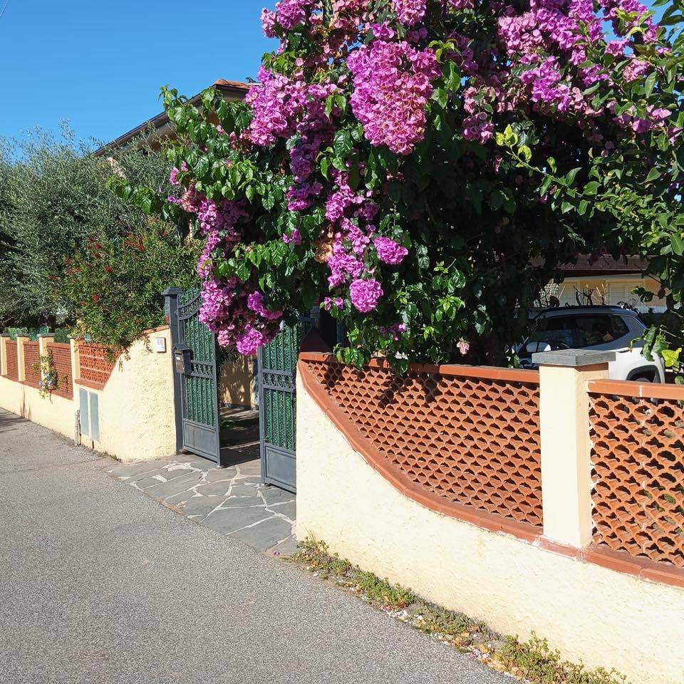 Casa Federica | Marina di Massa / Ronchi / Marina di Carrara - Case e ville - Riviera Apuana