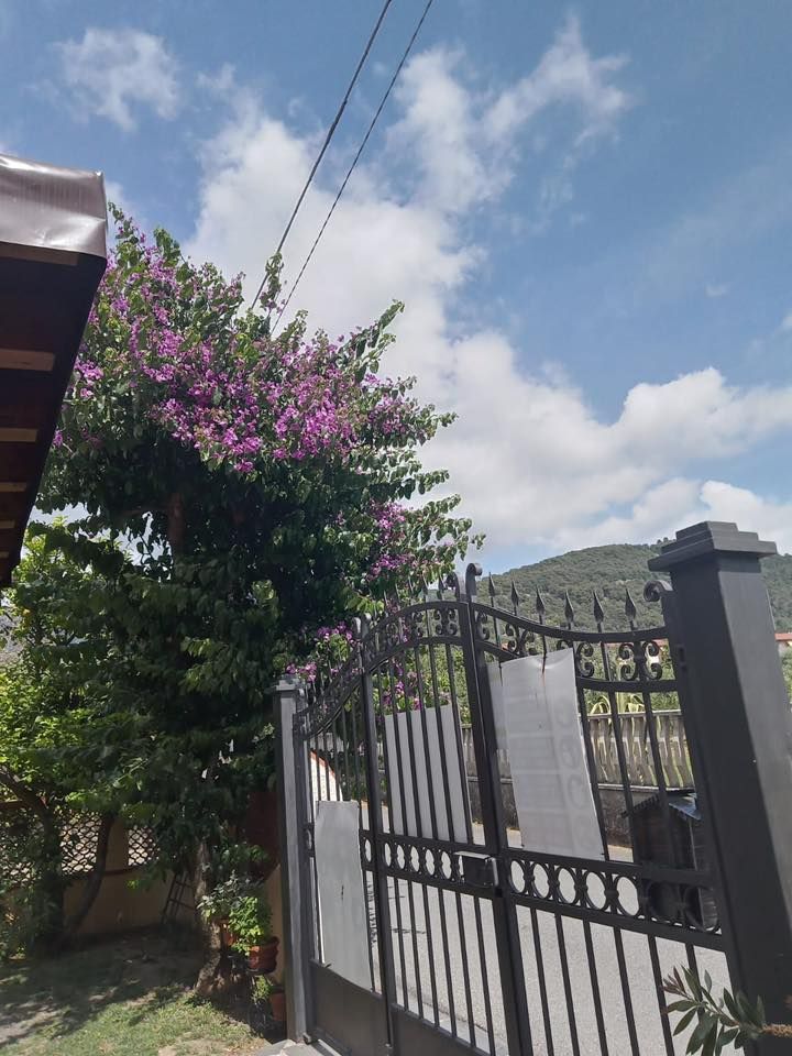 Casa Federica | Marina di Massa / Ronchi / Marina di Carrara - Case e ville - Riviera Apuana