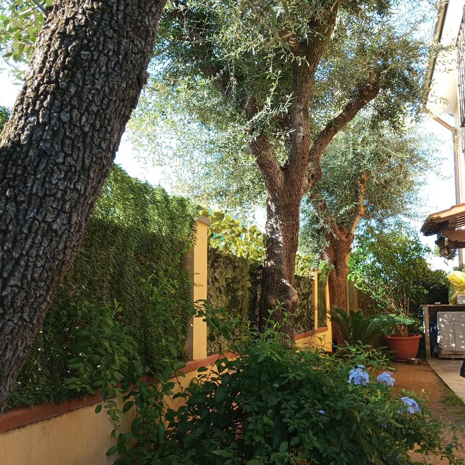 Casa Federica | Marina di Massa / Ronchi / Marina di Carrara - Case e ville - Riviera Apuana